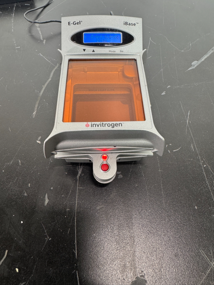 Image of Invitrogen E-Gel iBase Safe Imager Real Time Transilluminator